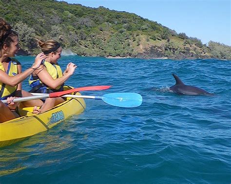 Noosa Adventure Tours Sea Kayaking Surfing Epic Ocean Adventures