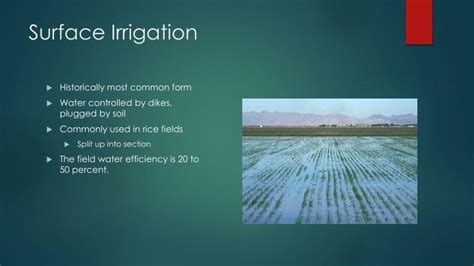 PPT - Types of Irrigation PowerPoint Presentation - ID:2406846