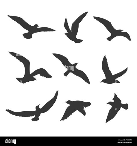 birds flock motion cut  stock images pictures alamy