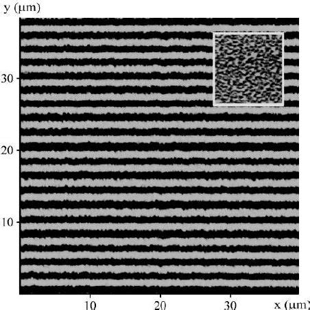 Magnetic force microscope image showing part of a pattern of parallel... | Download Scientific ...