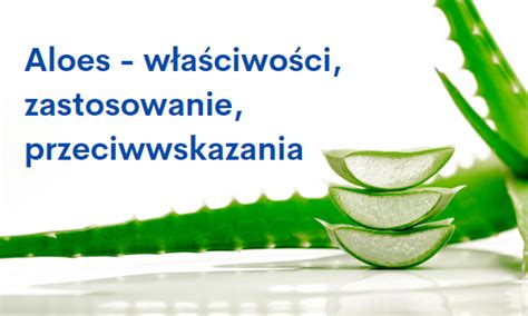 Aloes Aloe Vera W A Ciwo Ci Zastosowanie Przeciwwskazania Blog