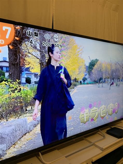 とくさしけんご on Twitter テレビで家族を観る時間 北欧バッグにネギ