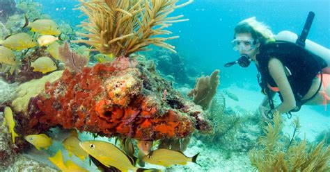 Discover The Best Snorkelling Locations In Lehigh Acres Florida Hello