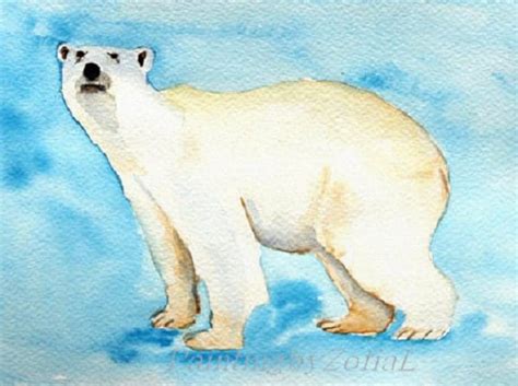 polar bear original watercolor painting polar by paintingbyZofiaL