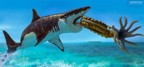 Helicoprion Wallpapers - Wallpaper Cave