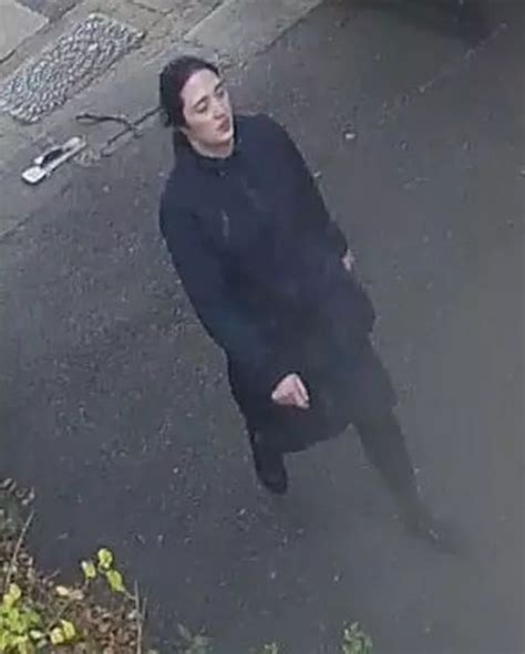 Cctv Released After Winchester Burglars Lied About Cat To Steal