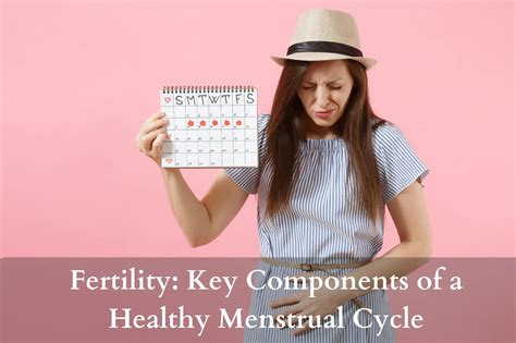 Fertility Key Components Of A Healthy Menstrual Cycle