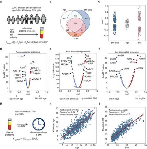 Relationship Between The Plasma Proteome And Age Bmi Sds And Sex A