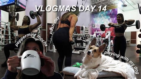 Vlogmas Day Push Day Workout Playing With My Corgi Let S Talk