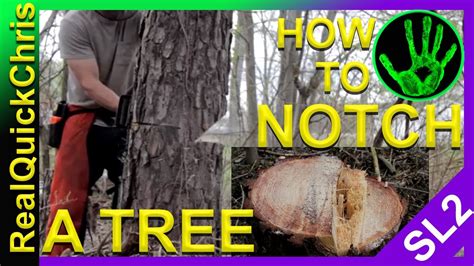 How To Safely Notch And Cut Down A Tree Youtube