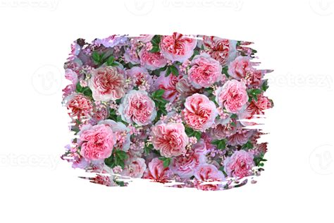 Flower Sublimation Clipart Png 21444337 Png