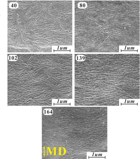 Figure From The Crystallization And Mechanical Properties Of Poly