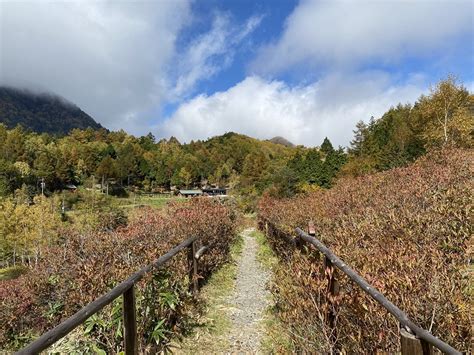 宮田高原～秋part2～ 信州みやだ観光ガイド 長野県宮田村・木曽駒ヶ岳の観光情報サイト