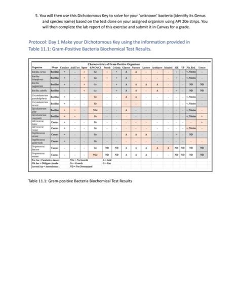 Solved Lab Exercise 11 Making A Dichotomous Key With