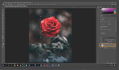 💻 ¿cómo Cambiar El Tamaño De Una Capa En Photoshop Curso Crehana