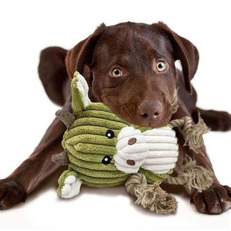 Eco Friendly Squeaky Dog Toy "Buddy" | ReThink Pet