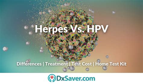 Herpes Vs Hpv Differences Symptoms Causes How To Get Tested Diagnosis And Treatment