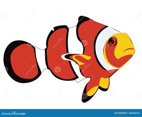 Clown Fish Stock Illustration Illustration Of Nemo Ocean 6239429