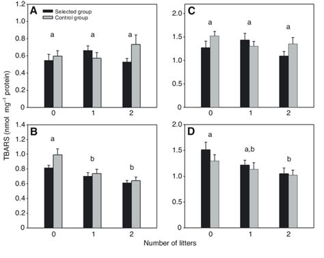 Mean 1 S E M Concentrations Of Thiobarbituric Acid Reactive