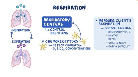 abnormal respiration rate  katrina woodard blog