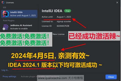 IDEA 2024 1 最新破解版安装教程附激活码 亲测有效 异常教程