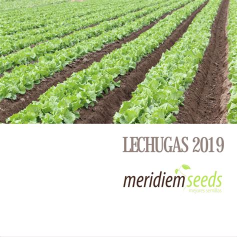 Lechugas 2019 Meridiem Seeds By Meridiem Seeds Issuu