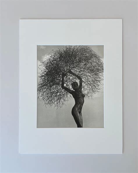 Herb Ritts Nude With Tumbleweed By Herb Ritts Vintage Print At