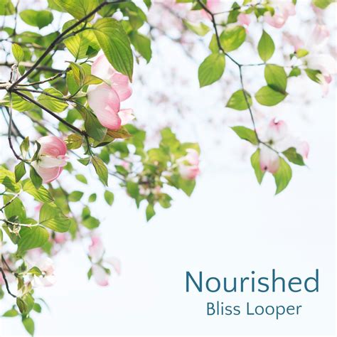 Nourished Single Album By Bliss Looper Apple Music