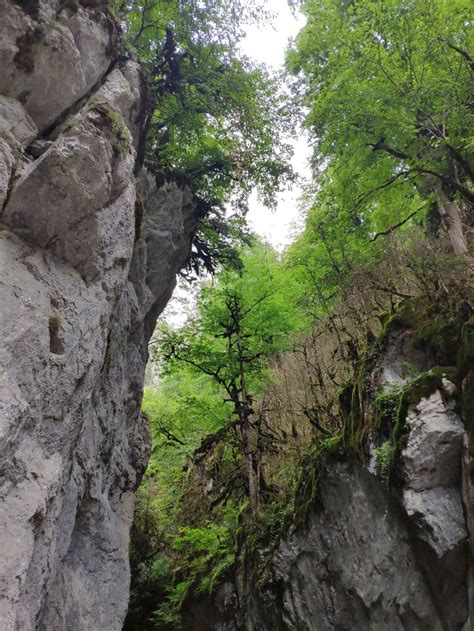 Horma Kanyonu Ve Il Ca Elalesi Azgezenadam