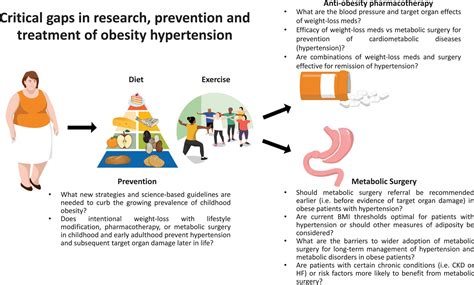 Weight Loss Strategies For Prevention And Treatment Of Hypertension A