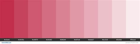 Blush Pink Color Code