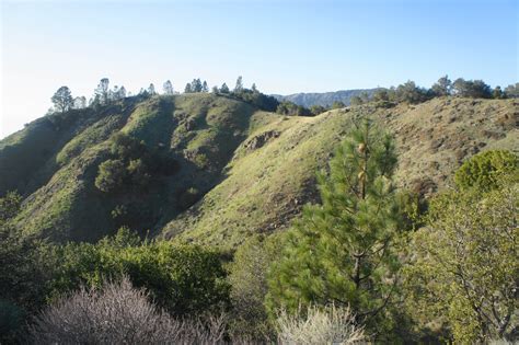 Buckeye Cruikshank Salmon Creek Trail Loop Silver Peak Wilderness Ca Live And Let Hike