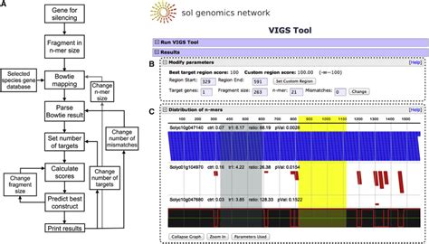sgn vigs tool  vigs tool algorithm linear workflow arrows