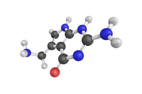 Enzyme Functions Clarified: Synthase vs. Synthetase – All The Differences