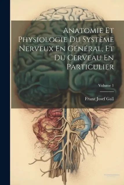 Anatomie Et Physiologie Du Syst Me Nerveux En Gnral Et Du Cerveau En