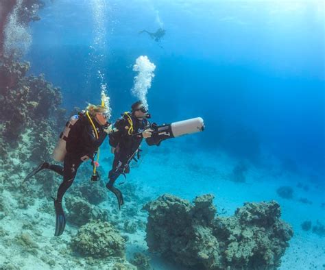 Descoberta da beleza do mundo subaquático mar vermelho Foto Premium