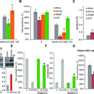 Icaritin Inhibits Hepg Xenograft Growth In Mice The Growth Curve Of