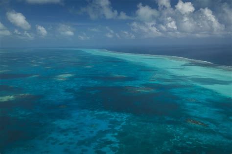 The Great Blue Hole In Belize: How To See This Natural Wonder - The ...