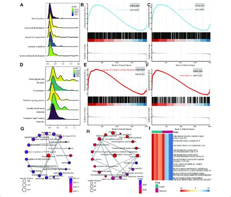 Gene Set Enrichment Analysis Gsea And Gene Set Variation Analysis Download Scientific