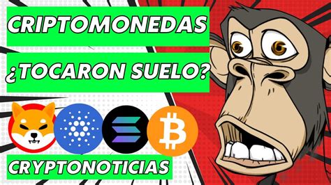 Noticias Criptomonedas Hoy 👉 Bitcoin Shiba Inu Cardano Ethereum