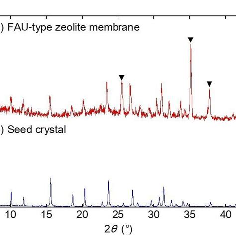 Xrd Patterns Of A Fau Type Zeolite Membrane And B Seed Crystals Download Scientific Diagram