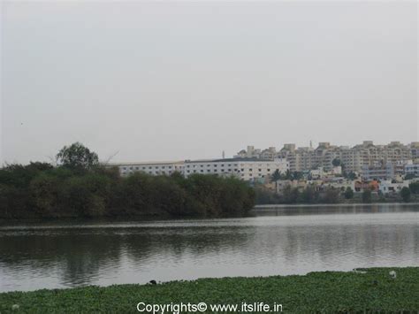 Madiwala Lake Bengaluru | Lakes of Bangalore | Sightseeing Bengaluru