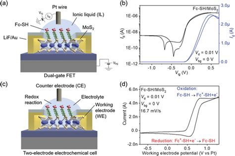 A Schematic Diagram Of Ionic Liquid IL Gated Monolayer MoS2