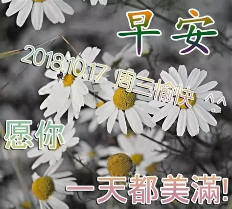 2018最新版漂亮早上好表情圖片大全 最美早上問候圖片帶字溫馨 每日頭條