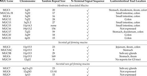 The Mucin (MUC) Gene Family. | Download Table 