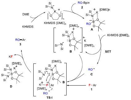 Etherification Of Fluoroarenes With Alkoxyboronic Acid Pinacol Esters