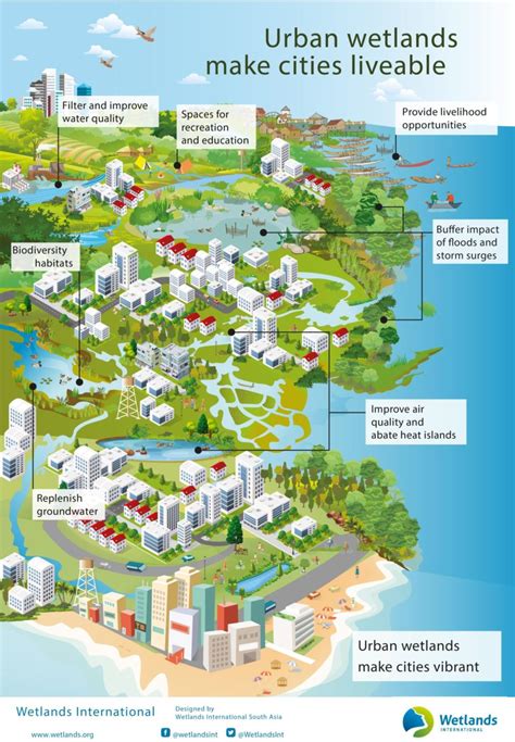 Building Urban Resilience With Nature Wetlands International