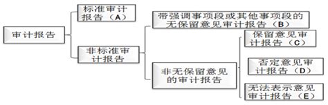 审计报告类型东奥会计在线