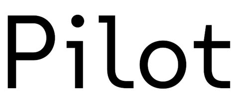 Business Fiber Optic Internet Pilot Fiber