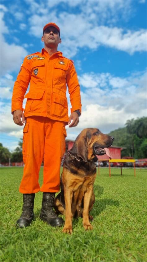 Rio vai enviar cão farejador para ajudar nas buscas por fugitivos de